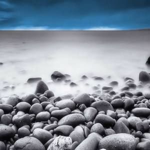 Meet your Posher, Darrell